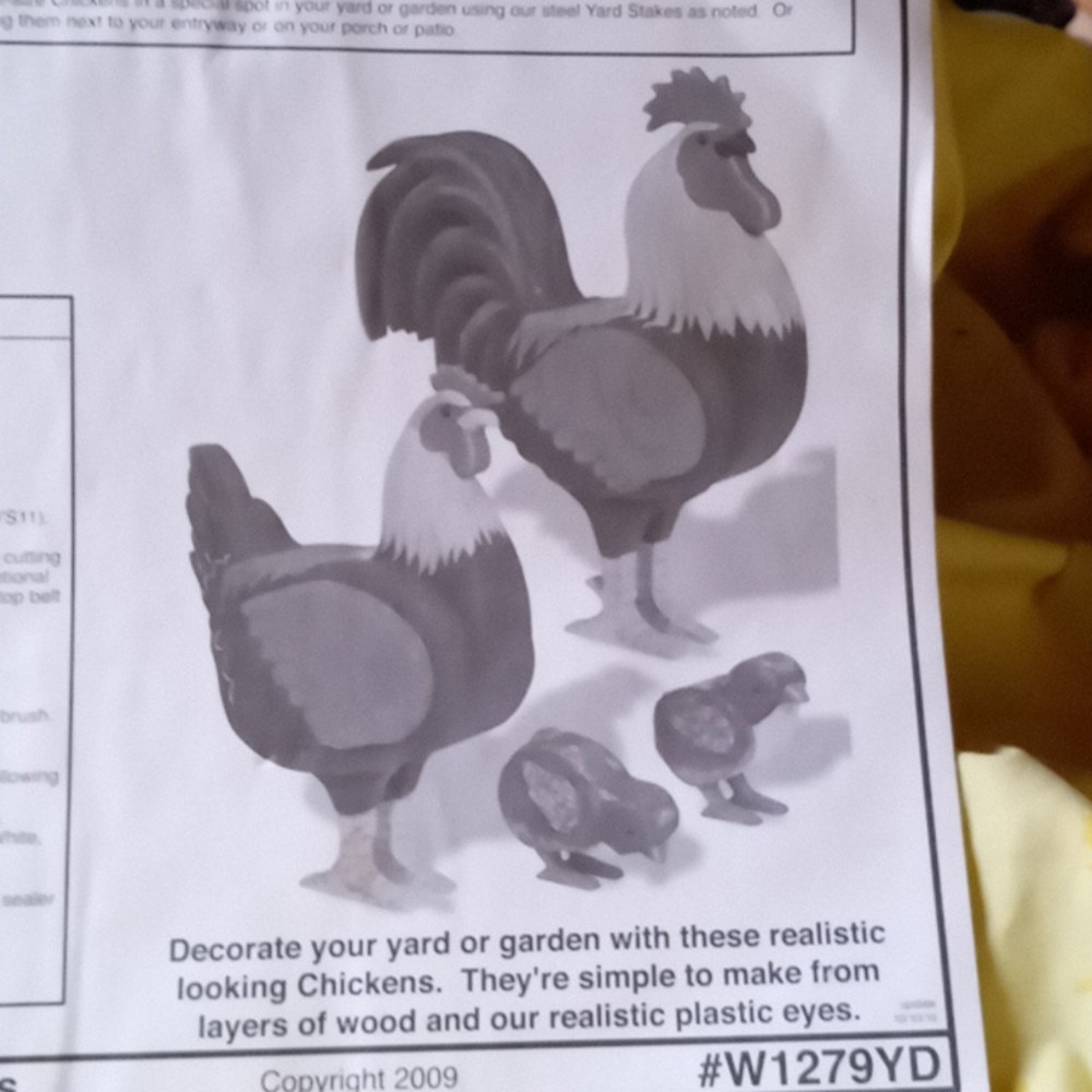 3D Chicken patterns, new plan, with plastic eyes. By Winfield